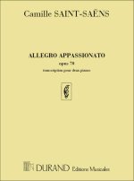ALLEGRO APP. OP 70 2 PIANOS  PIANO
