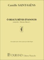 O BEAUX REVES EVANOUIS  VIOLON