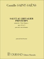 SALUT AU CHEVALIER 3 CHANT