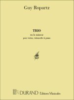 TRIO EN LA MINEUR