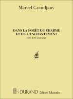 DANS LA FORET DU CHARME ET DE L'ENCHANTEMENT HARPE
