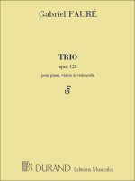 TRIO OP.120 MUSIQUE D'ENSEMBLE