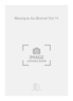 MUSIQUE AU BREVET VOL 11  FORMATION MUSICALE