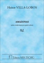 AMAZONAS POCHE  ORCHESTRE
