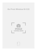 GO FROM WINDOW GT C22