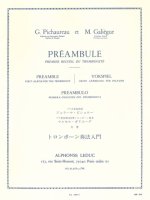 GERARD PICHAUREAU/MARCEL GALIEGUE: PREAMBULE
