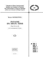 PAVANE EN DEUX TONS FHN/PNO
