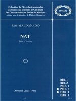 RAUL MALDONADO: NAT (GUITAR SOLO)