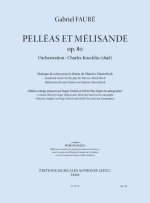GABRIEL FAURE: MAETERLINK S PELLEAS ET MELISANDE, INCIDENTAL MUSIC (ORCHESTRATION BY KOECHLIN)
