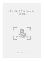 PLE ANGELUS 3 VOIX EGALES A CAPPELLA VOICE 3 PART A CAPPELLA