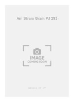 HERRERA DE AM STRAM GRAM PJ293 6 MINIMES RECORDER & ENSEMBLE BOOK