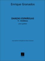 DANSE ESPAGNOLE N5 GUITARE