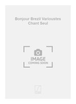 BONJOUR BREZIL VARIOUSTES CHANT SEUL  CHANT