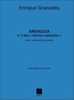 ANDALUZAVLC-PIANO DANSE ESPAGNOLE N 5 (CALVO VIOLONCELLE