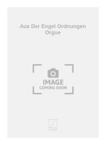 AUS DER ENGEL ORDNUNGEN ORGUE  ORGUE