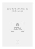 ECHO DE THEATRE FLUTE OU HTB OU VIOLON  FLUTE TRAVERSIERE