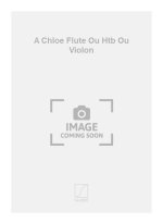 A CHLOE FLUTE OU HTB OU VIOLON  FLUTE TRAVERSIERE