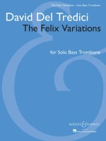 THE FELIX VARIATIONS