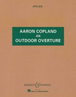 AN OUTDOOR OVERTURE ORCHESTRE