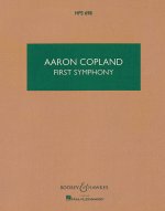 SYMPHONY NO. 1 ORCHESTRE