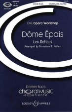 DOME EPAIS CHANT