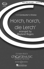 HORCH, HORCH, DIE LERCH' D. 889 CHANT