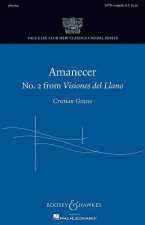 VISIONES DEL LLANO CHANT