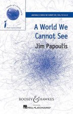 A WORLD WE CANNOT SEE