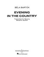 EVENING IN THE COUNTRY -PARTITION+PARTIES SEPAREES
