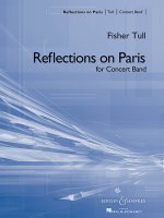 REFLECTIONS ON PARIS -PARTITION+PARTIES SEPAREES