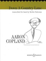 DOWN A COUNTRY LANE -PARTITION+PARTIES SEPAREES