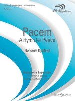 PACEM -PARTITION+PARTIES SEPAREES