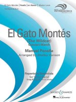 EL GATO MONTES (THE WILD CAT) -PARTITION+PARTIES SEPAREES