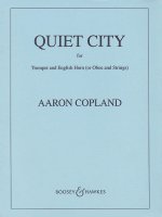 QUIET CITY -PARTITION+PARTIES SEPAREES