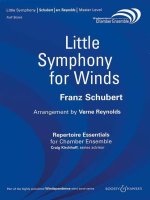 LITTLE SYMPHONY FOR WINDS