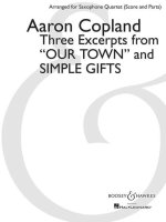 THREE EXCERPTS FROM OUR TOWN AND SIMPLE GIFTS -PARTITION+PARTIES SEPAREES
