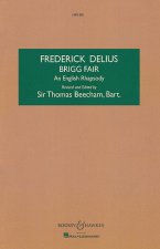 BRIGG FAIR ORCHESTRE