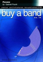 BUY A BAND VOL. 13 CD-ROM