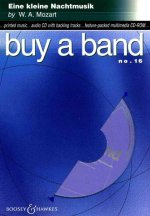 BUY A BAND KV 525 VOL. 17 CD-ROM