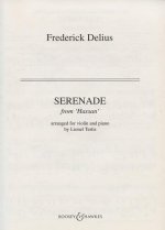 SERENADE VIOLON