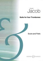 SUITE -PARTITION+PARTIES SEPAREES