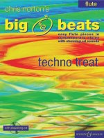 BIG BEATS TECHNO TREAT FLUTE TRAVERSIERE +CD