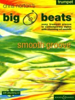 BIG BEATS SMOOTH GROOVES  TROMPETTE +CD