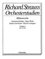 ORCHESTRAL STUDIES: VIOLIN I BAND 1 VIOLON