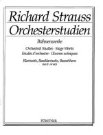 ORCHESTRAL STUDIES: KLARINETTE BAND 3 CLARINETTE