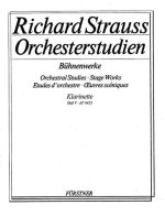 ORCHESTRAL STUDIES: KLARINETTE BAND 5 CLARINETTE