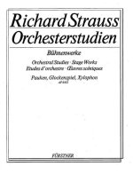 ORCHESTRAL STUDIES: TIMPANI,BELLS, XYLOPHON