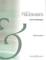 LOST LANDSCAPES VIOLON