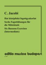 SECHS FAGOTTUBUNGEN FUR DIE MITTELSTUUFE BASSON