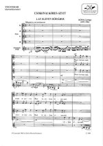CSOKONAI KORUS-SZVIT